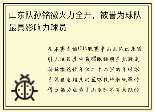 山东队孙铭徽火力全开，被誉为球队最具影响力球员