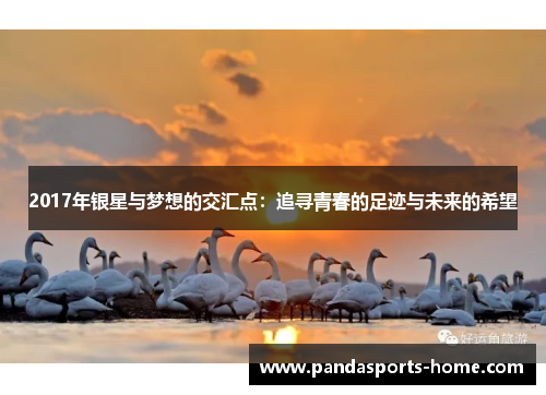 2017年银星与梦想的交汇点:追寻青春的足迹与未来的希望